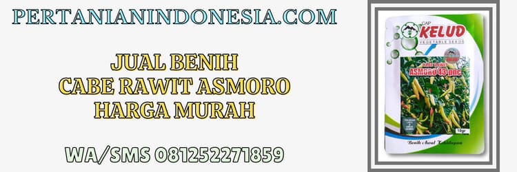 jual,benih,cabai rawit asmoro,pertanian indonesia,murah